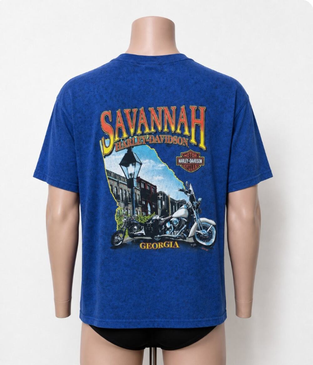 Harley-Davidson Savannah GA Tee Men’s L Blue Biker Shirt
